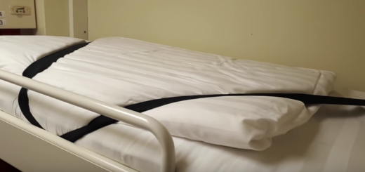 Вип купе с душем и туалетом люкс ржд