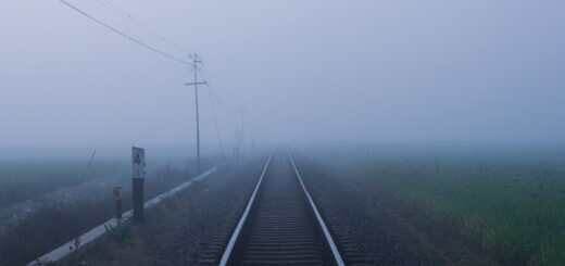 поезд в тумане