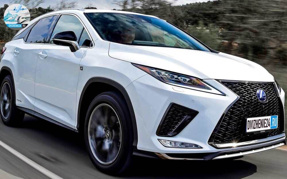 белый Lexus RX