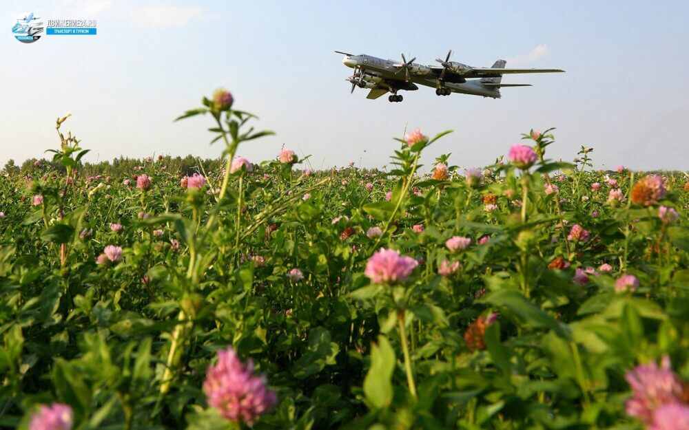 турбовинтовой бомбардировщик летит над полем