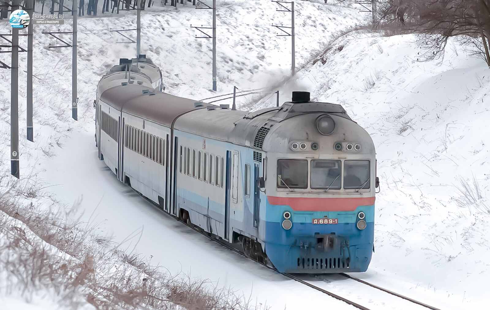 Дизель-поезд Д, Д1