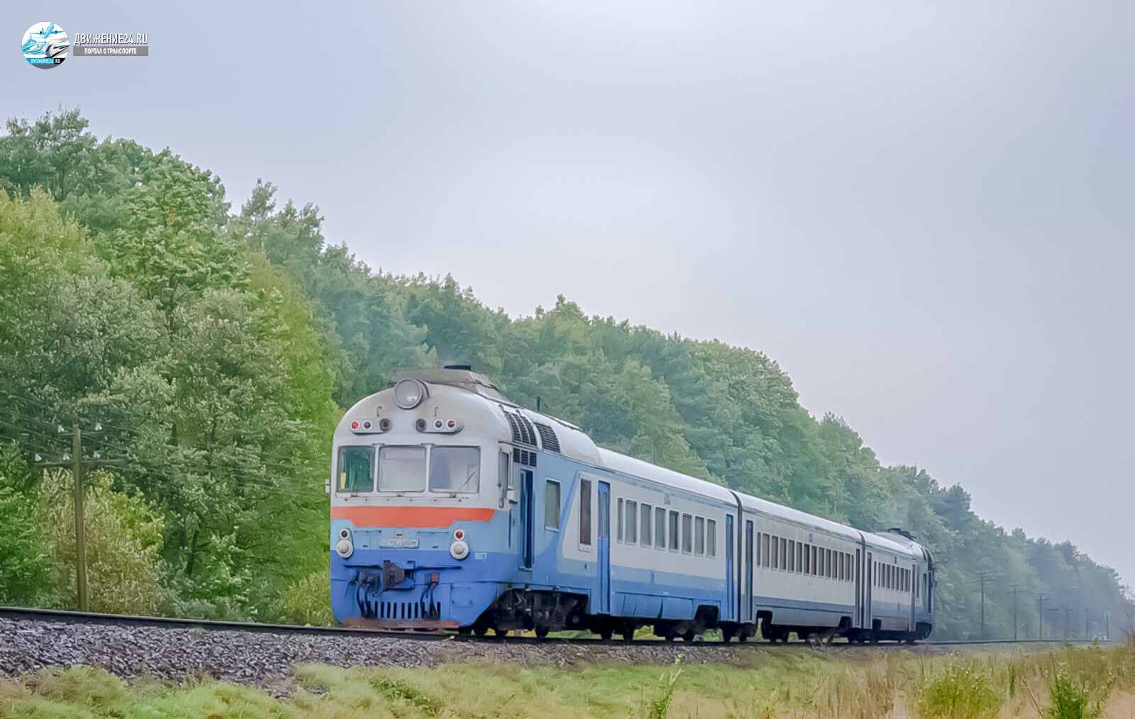 Дизель-поезд Д, Д1