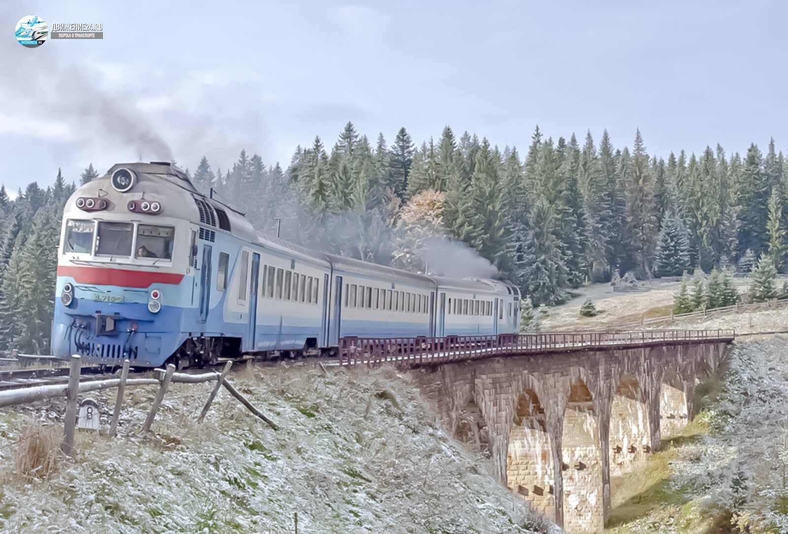 Дизель-поезд Д, Д1