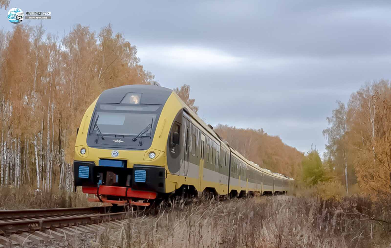 Дизель-поезд ДПМ1