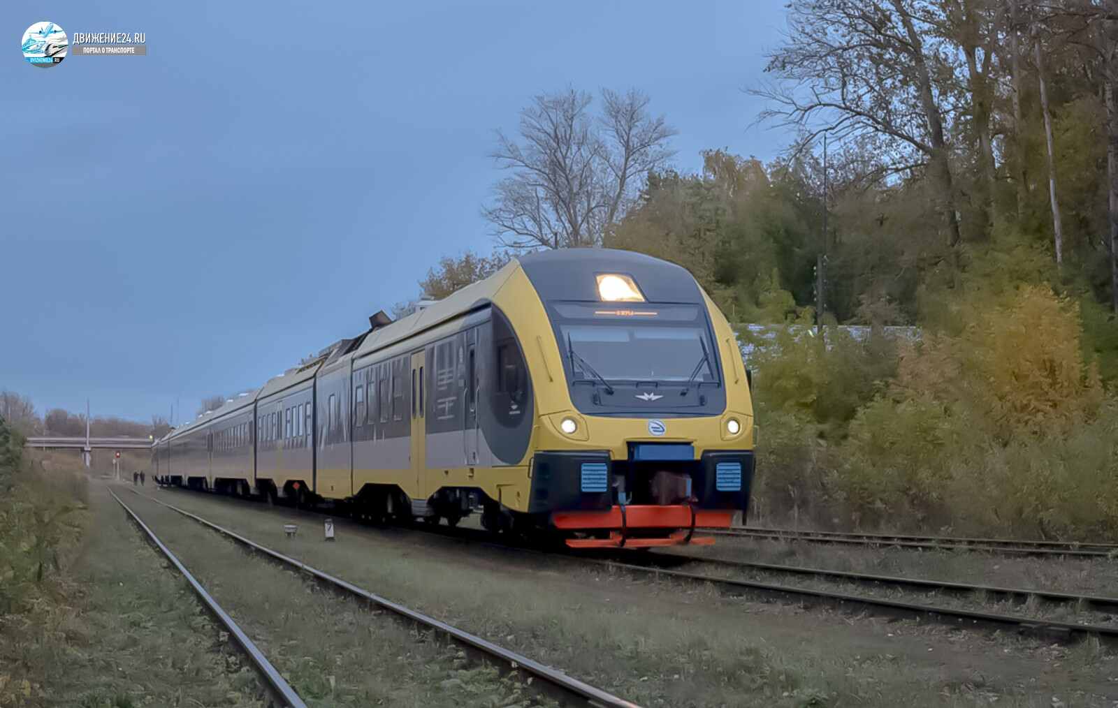 Дизель-поезд ДПМ1