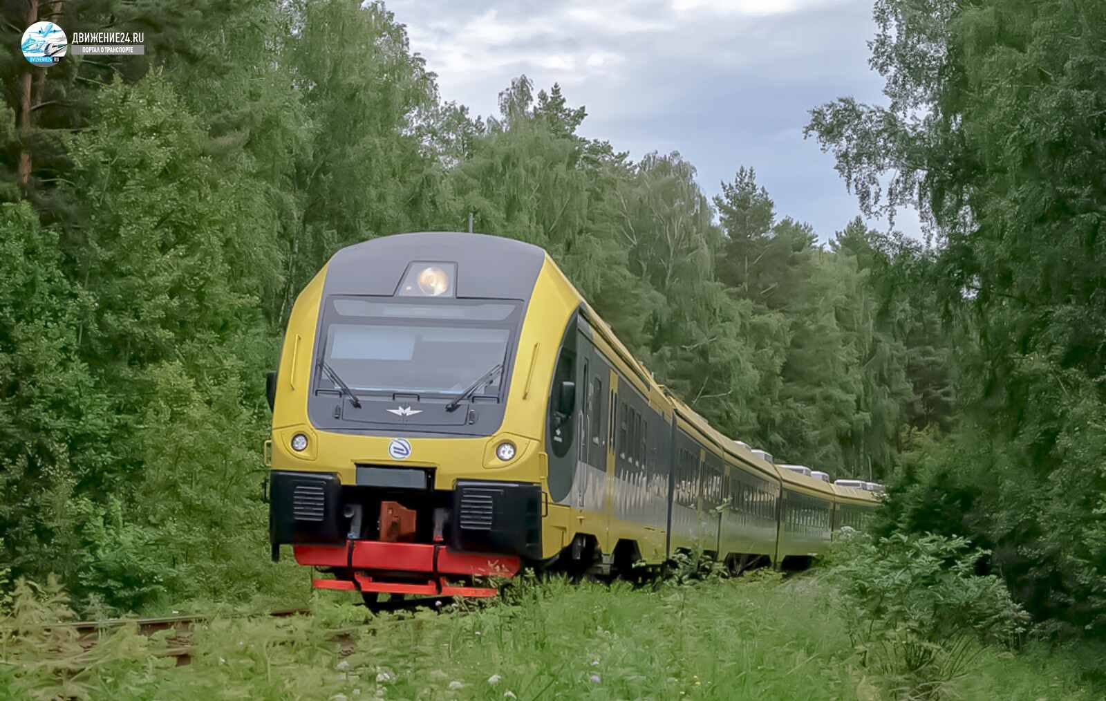 Дизель-поезд ДПМ1