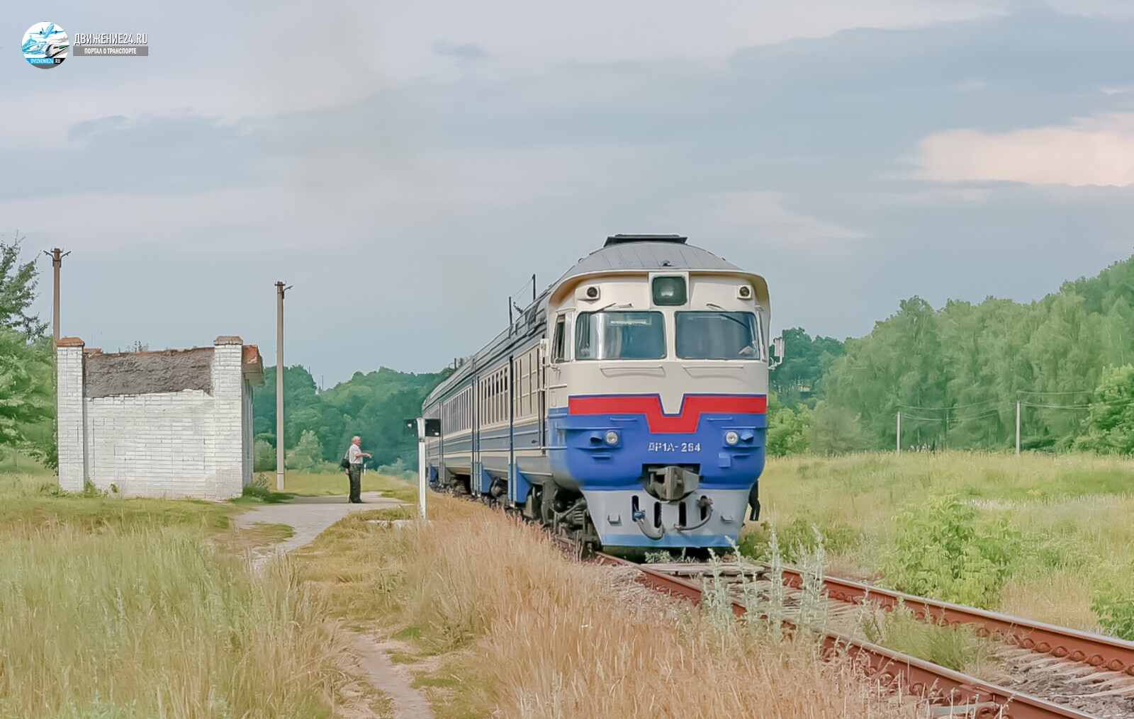 Дизель-поезд ДР1А