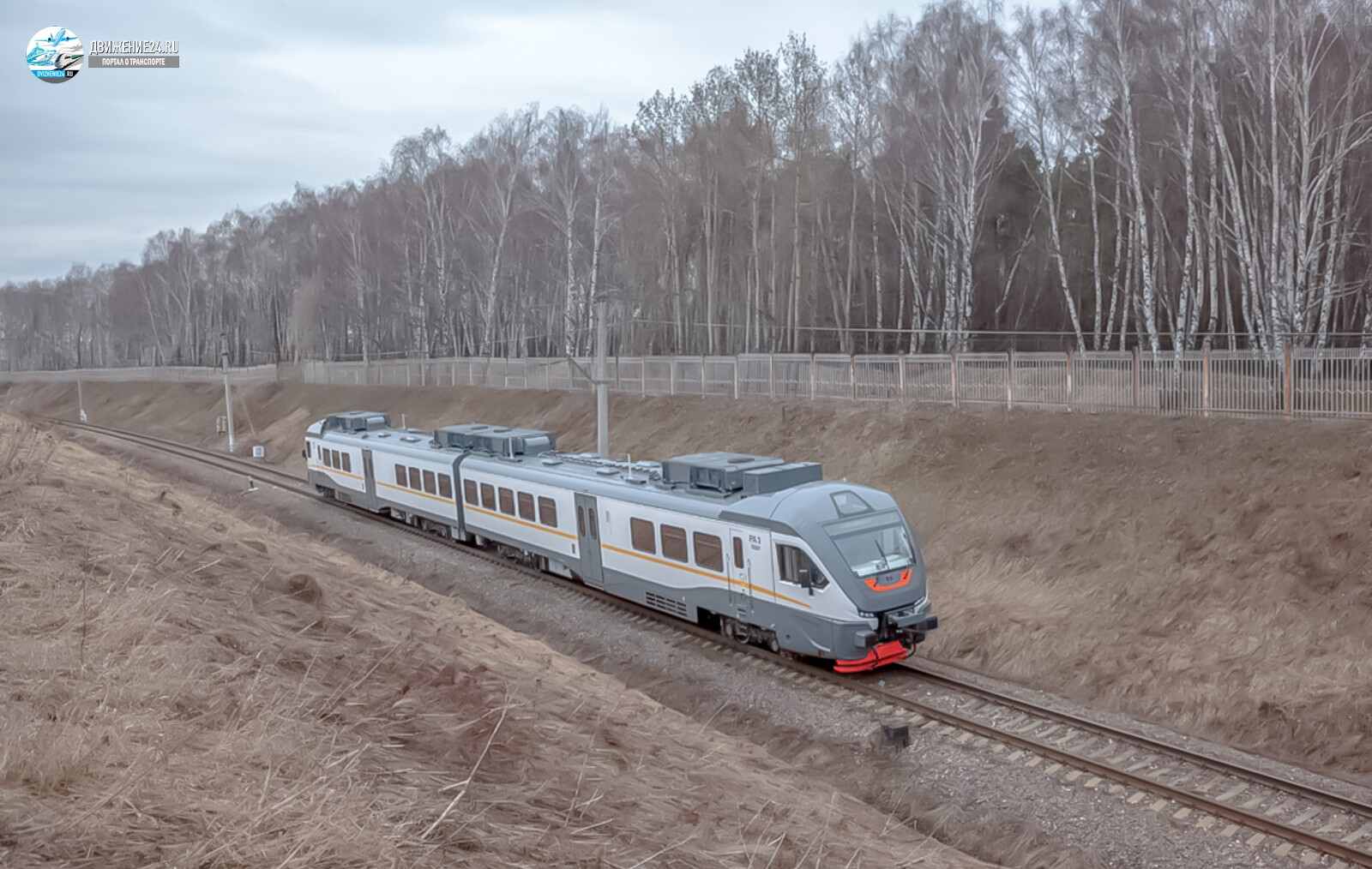 Дизель-поезд РА3