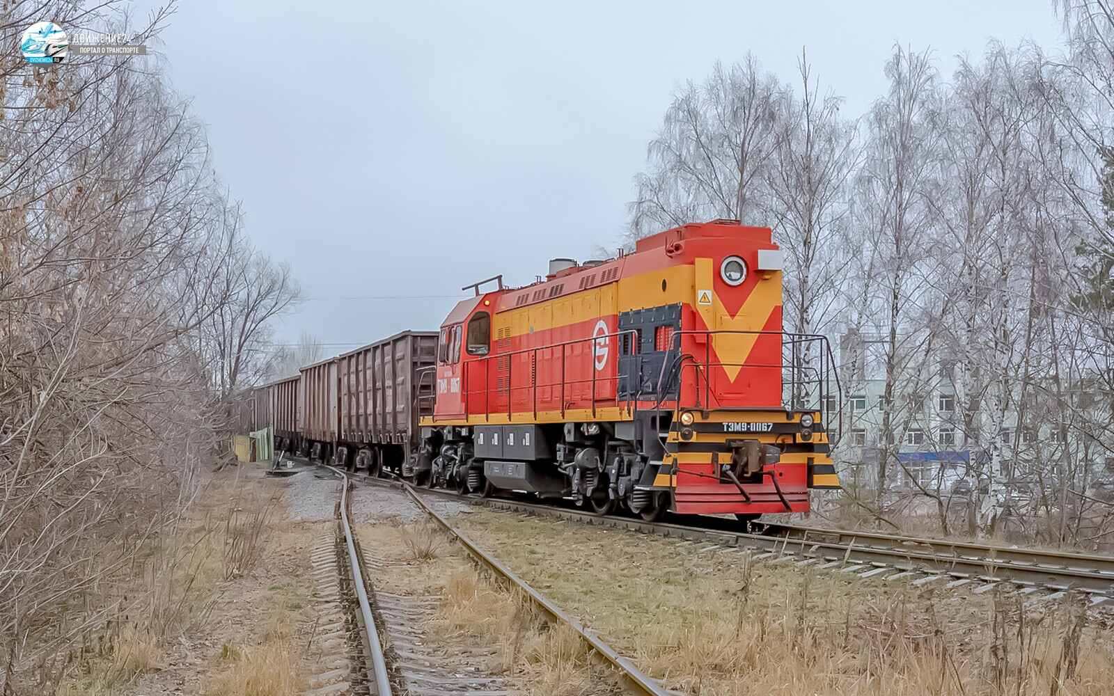 Фото тепловоза ТЭМ9