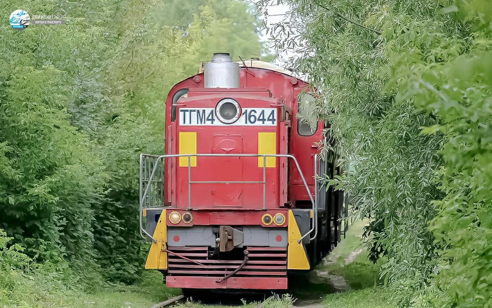 Фото тепловоза ТГМ4