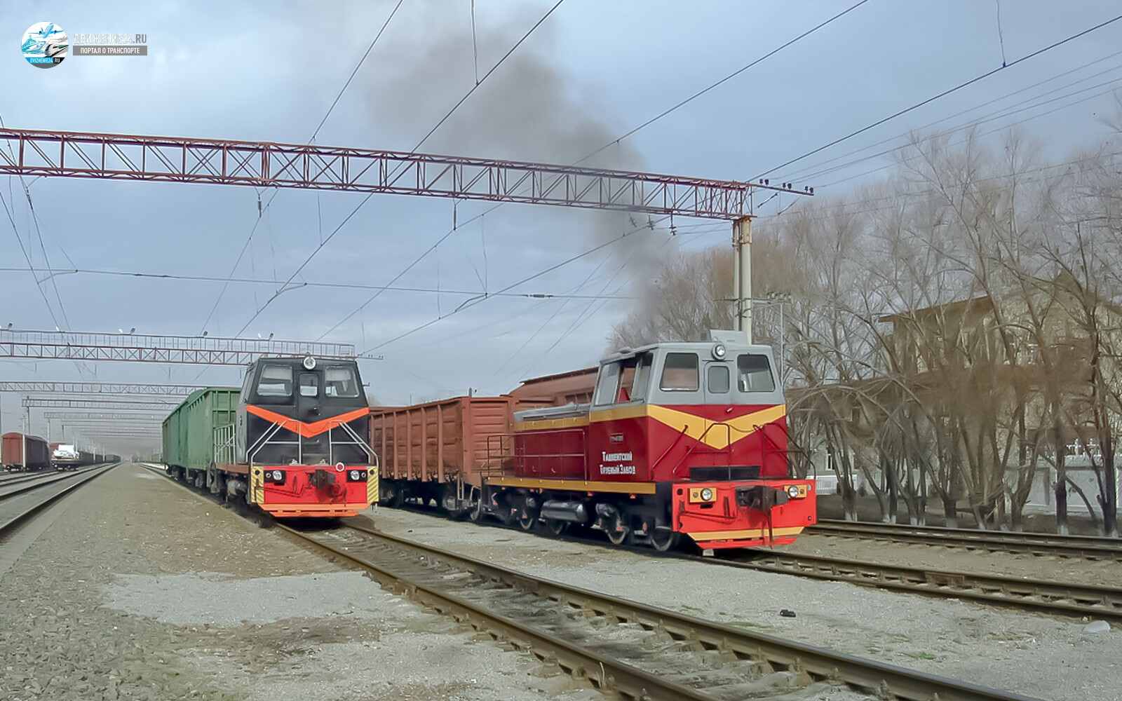 Тепловоз ТГМ40