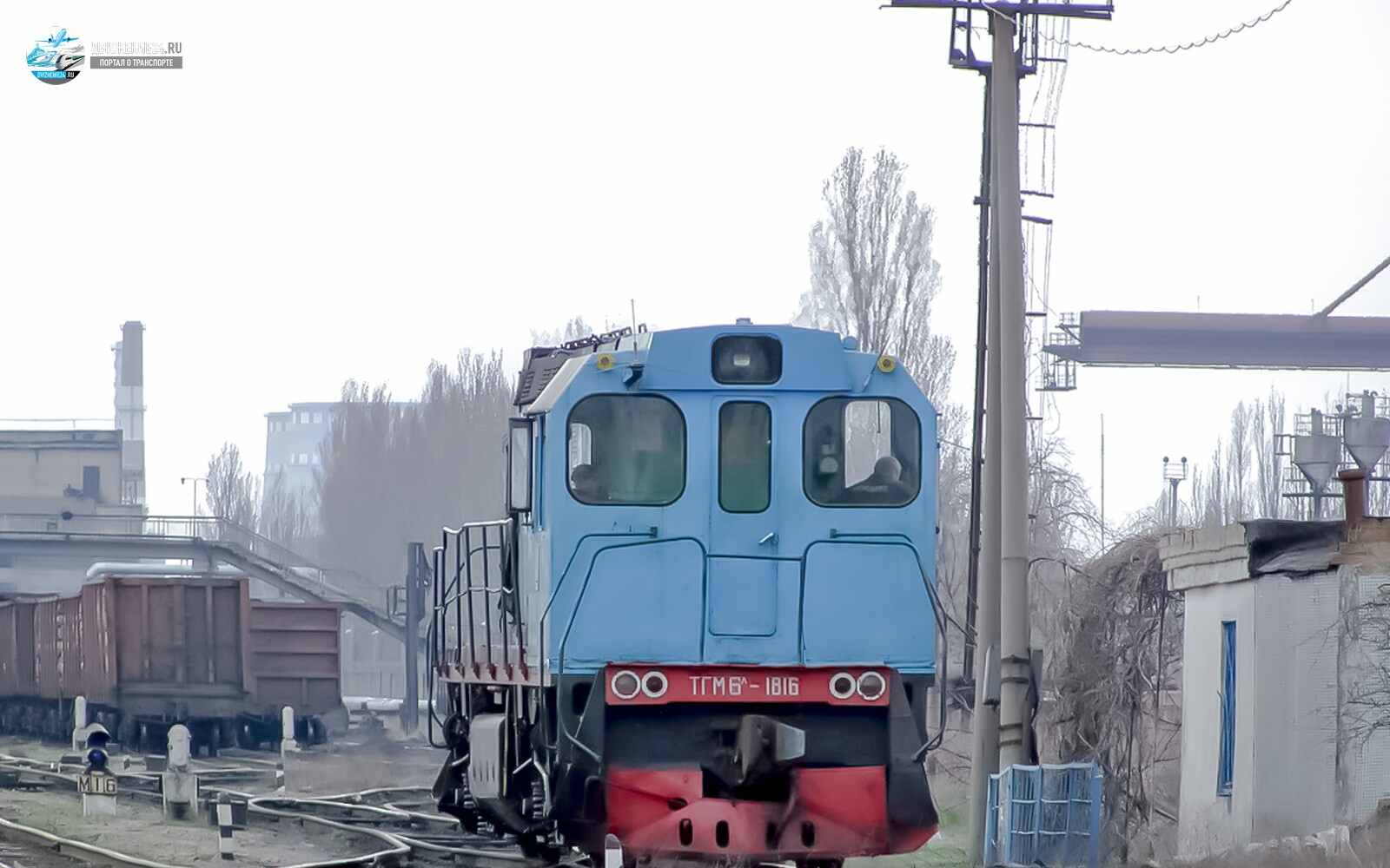 Тепловоз ТГМ6